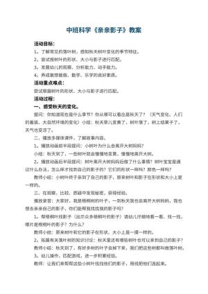 幼儿园中班科学优秀教案《亲亲影子》 包含反思