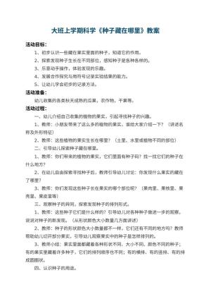 幼儿园大班上学期科学教案《种子藏在哪里》 包含反思预览
