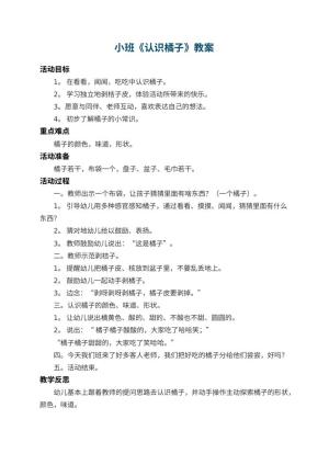 幼儿园小班教案《认识橘子》 包含反思