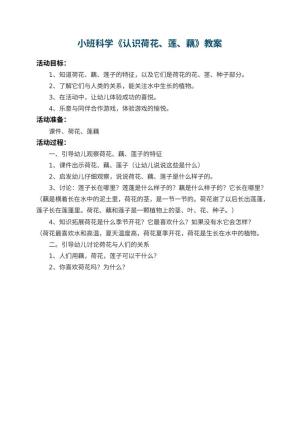 幼儿园小班科学教案《认识荷花、莲、藕》预览