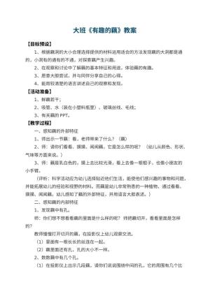 幼儿园大班教案《有趣的藕》预览