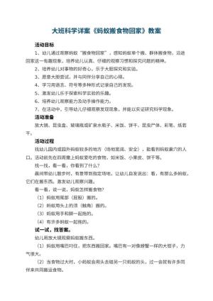 幼儿园大班科学详案《蚂蚁搬食物回家》 包含反思预览