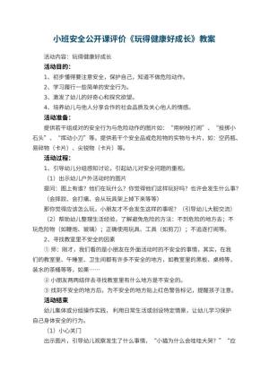 幼儿园小班安全公开课评价《玩得健康好成长》 包含反思预览
