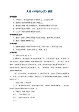 幼儿园大班教案《神奇的小麦》 包含反思预览