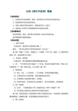 幼儿园大班教案《拷贝不走样》 包含反思