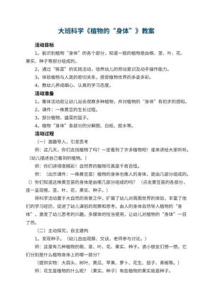 幼儿园大班科学教案《植物的“身体”》 包含反思预览