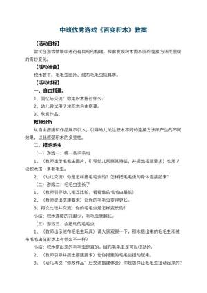 幼儿园中班优秀游戏教案《百变积木》 包含反思预览