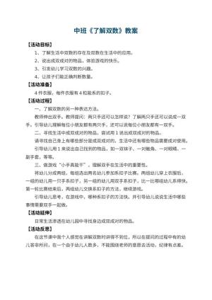 幼儿园中班教案《了解双数》 包含反思预览