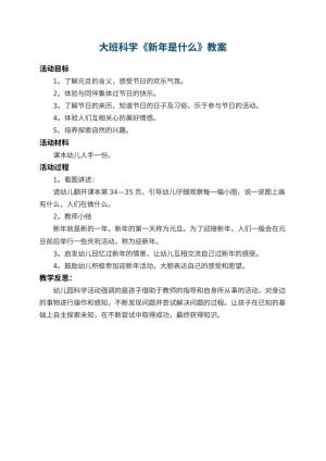 幼儿园大班科学教案《新年是什么》 包含反思预览