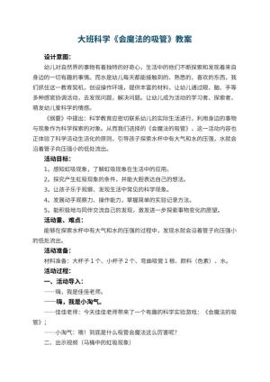 幼儿园大班科学《会魔法的吸管》教案预览