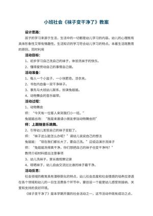 幼儿园小班社会教案《袜子变干净了》 包含反思预览