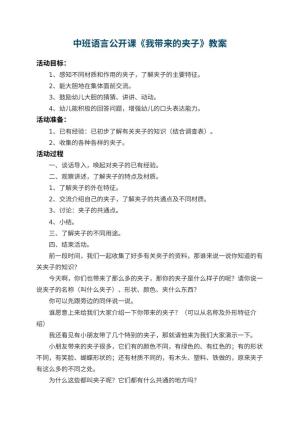 幼儿园中班语言公开课教案《我带来的夹子》 包含反思预览