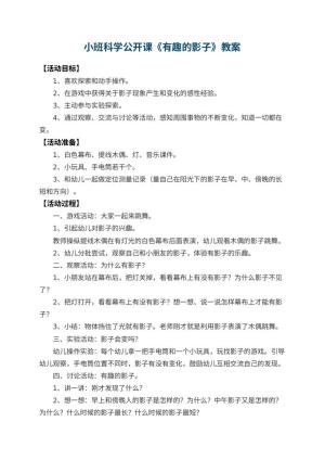 幼儿园小班科学公开课教案《有趣的影子》 包含反思预览