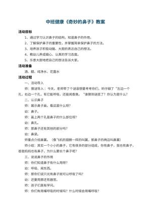 幼儿园中班健康教案《奇妙的鼻子》 包含反思预览