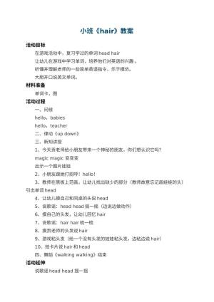 幼儿园小班教案《hair》预览