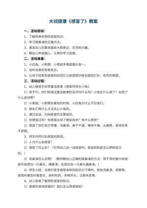 幼儿园大班健康优秀教案《感冒了》 包含反思预览