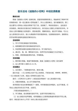 幼儿园音乐活动《迷路的小花鸭》中班优质教案预览