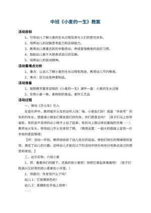 幼儿园中班教案《小麦的一生》 包含反思