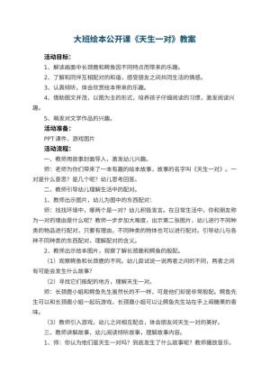 幼儿园大班绘本公开课教案《天生一对》 包含反思