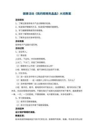 幼儿园健康活动《我的眼睛亮晶晶》大班教案 包含反思预览