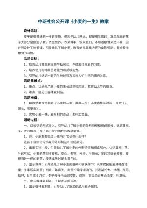 幼儿园中班社会公开课教案《小麦的一生》 包含反思预览