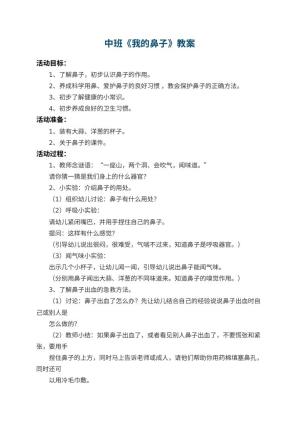 幼儿园中班教案《我的鼻子》 包含反思预览