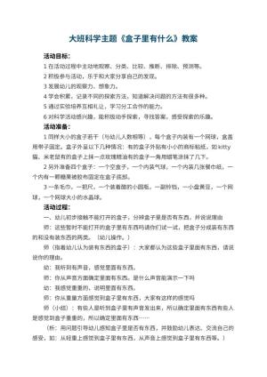 幼儿园大班科学主题教案《盒子里有什么》 包含反思预览