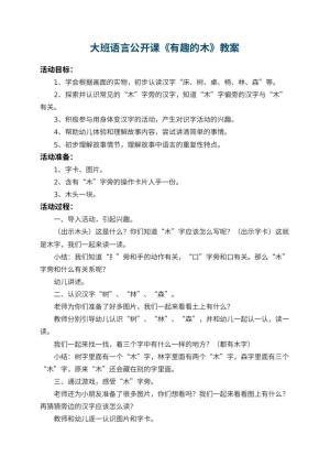 幼儿园大班语言公开课教案《有趣的木》 包含反思预览