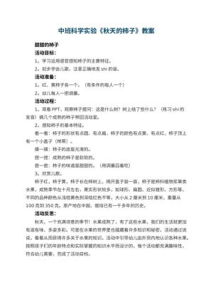 幼儿园中班科学实验教案《秋天的柿子》 包含反思预览