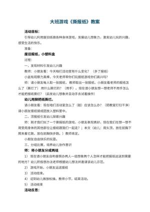 幼儿园大班游戏优秀教案《撕报纸》 包含反思预览