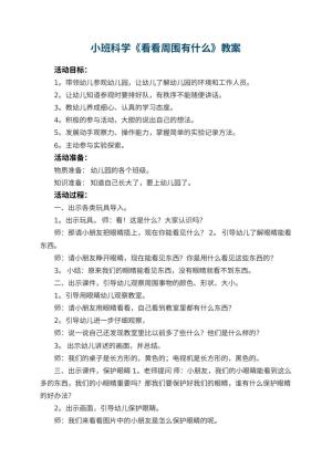 幼儿园小班科学教案《看看周围有什么》 包含反思预览