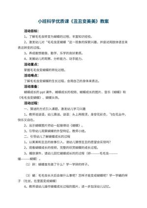 幼儿园小班科学优质课教案《丑丑变美美》 包含反思预览