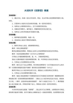 幼儿园大班科学教案《挖野菜》 包含反思预览