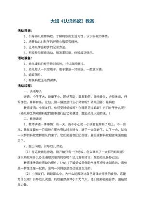 幼儿园大班教案《认识蚂蚁》 包含反思预览