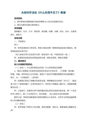 幼儿园大班科学活动教案《什么东西不见了》 包含反思预览