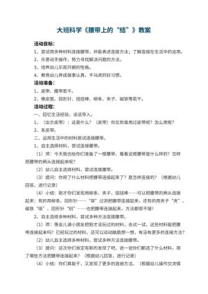 幼儿园大班科学教案《腰带上的&ldquo;结&rdquo;》 包含反思
