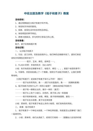幼儿园中班主题教案及教学《稻子和麦子》 包含反思预览